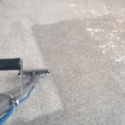 Wizard Carpet & Rug Cleaning - Just a "little" dirty