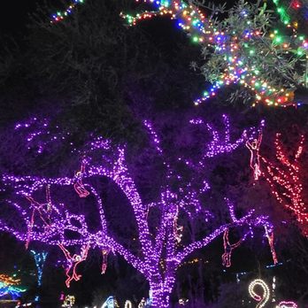 Zoolights - Zoos Near Me - Phoenix, Arizona