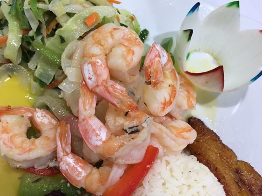 Tropical Flava by null