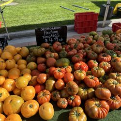 Wonderful tomatoes