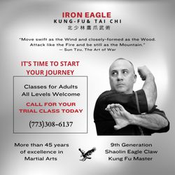 Iron Eagle KungFu