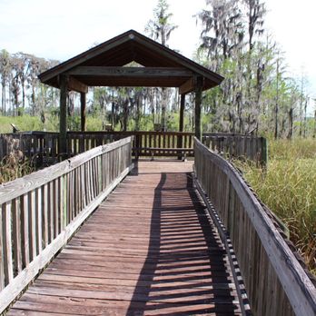 Tibet-Butler Preserve - Over the lily pond - Parks Near Me - Orlando, Florida Tibet-Butler Preserve - Over the lily pond - Parks Near Me - Orlando, Florida