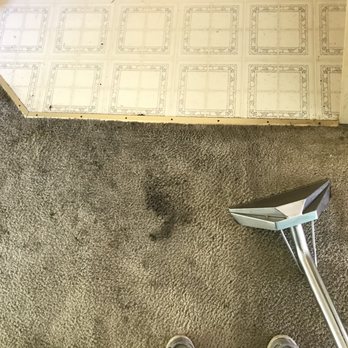 All Pro Carpet Care Plus - Before - Carpet Cleaning Near Me All Pro Carpet Care Plus - Before - Carpet Cleaning Near Me