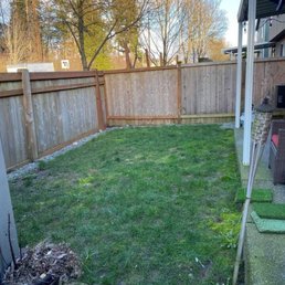 Our pitiful backyard... Our pitiful backyard...