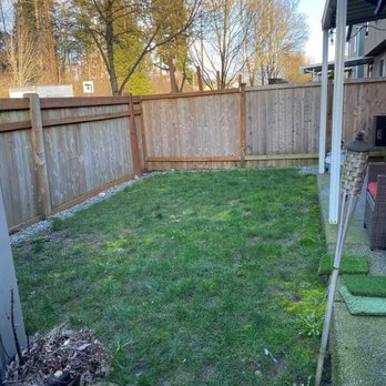 Top Dog Turf - Our pitiful backyard... - Artificial Turf Near Me - Lakewood, Washington Top Dog Turf - Our pitiful backyard... - Artificial Turf Near Me - Lakewood, Washington