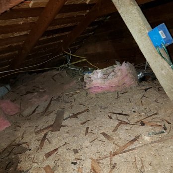 Pro Attic Restoration - Insulation Installation Near Me - Castro Valley, California Pro Attic Restoration - Insulation Installation Near Me - Castro Valley, California