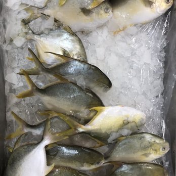 H Mart - Katy - Fish - Grocery Near Me - Katy, Texas