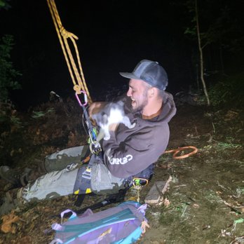 Funky Monkey Tree Service - Cat rescue. - Tree Services Near Me