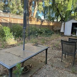 Frank's Yard Clean-Up - Before! Weeds, leaves , overgrown and overwhelming!