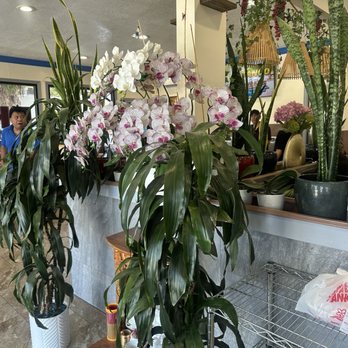 Pho Ha Vietnamese Restaurant - Front entry - Vietnamese Near Me - Redlands, California Pho Ha Vietnamese Restaurant - Front entry - Vietnamese Near Me - Redlands, California