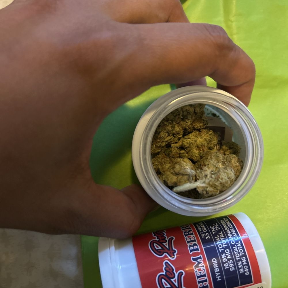 Silk Road - Cannabis Dispensaries Near Me - Jamaica, New York Silk Road - Cannabis Dispensaries Near Me - Jamaica, New York