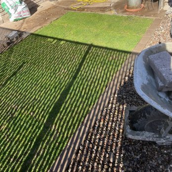 Chuco Landscaping & Maintenance - My new grass - Landscaping Near Me Chuco Landscaping & Maintenance - My new grass - Landscaping Near Me