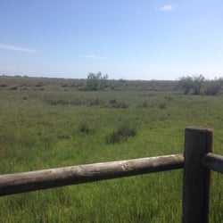 Parc Naturel Régional de Camargue - Sur le sentier de découverte