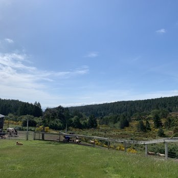 Glenrosa Farm Restaurant - The view from the outdoor porch eating area - Pizza Near Me - Victoria, British Columbia Glenrosa Farm Restaurant - The view from the outdoor porch eating area - Pizza Near Me - Victoria, British Columbia