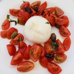 L'ombra del Leone