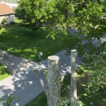 Sosa Tree Services - Landscaping Near Me Sosa Tree Services - Landscaping Near Me