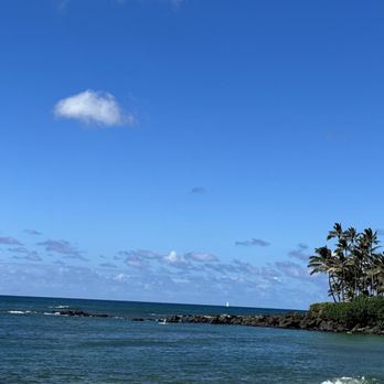 Laniakea Beach - Beaches Near Me - Haleiwa, Hawaii Laniakea Beach - Beaches Near Me - Haleiwa, Hawaii