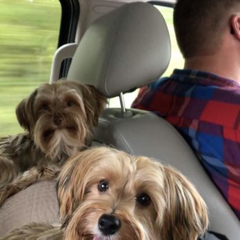 PetSmart - Pet Stores Near Me - Chester, Virginia