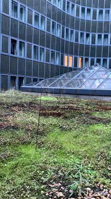 Cologne Marriott Hotel by null