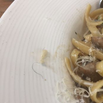 California Pizza Kitchen - Garlic fettuccine special. With what resembles pubic hair baked right into the noodles. I better not be paying for any of this. - Pizza Near Me - Pasadena, California California Pizza Kitchen - Garlic fettuccine special. With what resembles pubic hair baked right into the noodles. I better not be paying for any of this. - Pizza Near Me - Pasadena, California