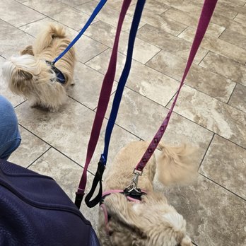 Texas Coalition For Animal Protection - Hurst - Veterinarians Near Me - Hurst, Texas Texas Coalition For Animal Protection - Hurst - Veterinarians Near Me - Hurst, Texas