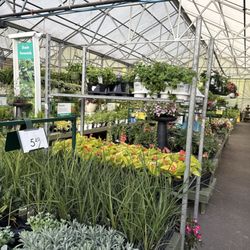 Pike Nurseries - Nice and clean