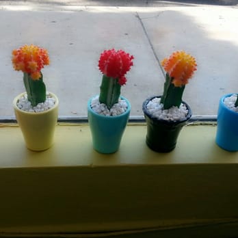 J Flowers - Hip - Florists Near Me - Redondo Beach, California