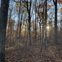 North Cary Park