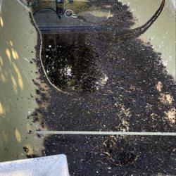 Before- Pool heavily stained from leaf buildup and standing water. Organic debris had settled into the surface.