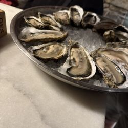 Oysters