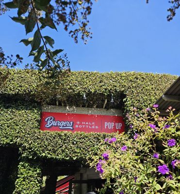 Burgers & Half Bottles by null