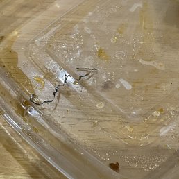 a plastic container with food in it a plastic container with food in it