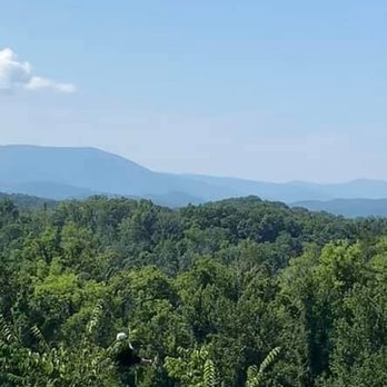 Wahoo Ziplines - A view of areas we zipline - Ziplining Near Me - Sevierville, Tennessee