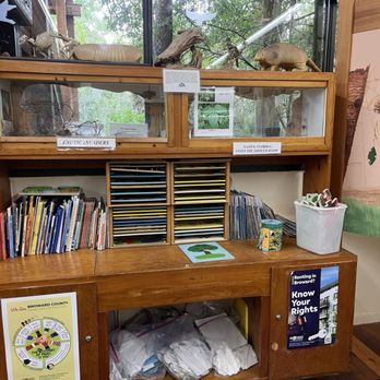 Fern Forest Nature Center - Activities inside nature center - Parks Near Me - Coconut Creek, Florida