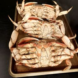 Sebastian's Seafood & Specialty Market - Dungeness Crab