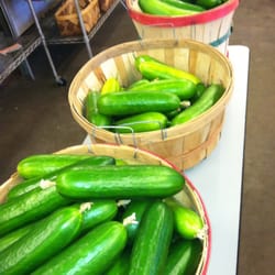Jack O Lantern Farm - Our market