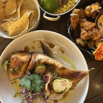 Tzuco - Hamachi jaw - Mexican Near Me - Chicago, Illinois Tzuco - Hamachi jaw - Mexican Near Me - Chicago, Illinois