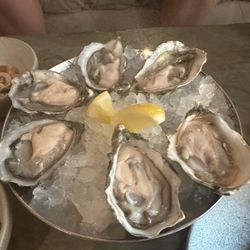 Alibi - Wine Dine Be Social - Oyster happy hour $5 usd for one oyster