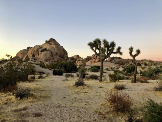 Sheep Pass Campground by null