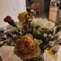 Photo of Zinnia Flowers & More
