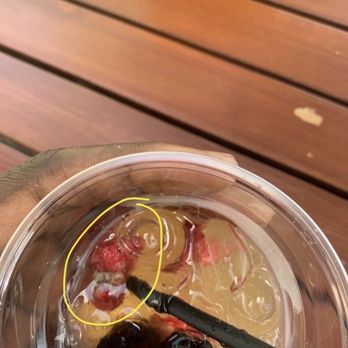 Sequoia - Sangria Punch with moldy fruit :( - New American Near Me - Washington, DC, District of Columbia Sequoia - Sangria Punch with moldy fruit :( - New American Near Me - Washington, DC, District of Columbia