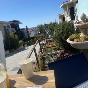 Cafe Wild - A bottle of Mimosa $36 is super worth it - Breakfast & Brunch Near Me - Manhattan Beach, California Cafe Wild - A bottle of Mimosa $36 is super worth it - Breakfast & Brunch Near Me - Manhattan Beach, California