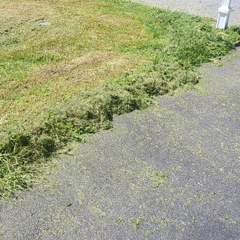 TerraSafe Pest & Landscape - After mowing finish look - Pest Control Near Me TerraSafe Pest & Landscape - After mowing finish look - Pest Control Near Me