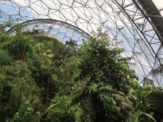 Eden Project by null