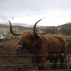 Trossachs Woollen Mill