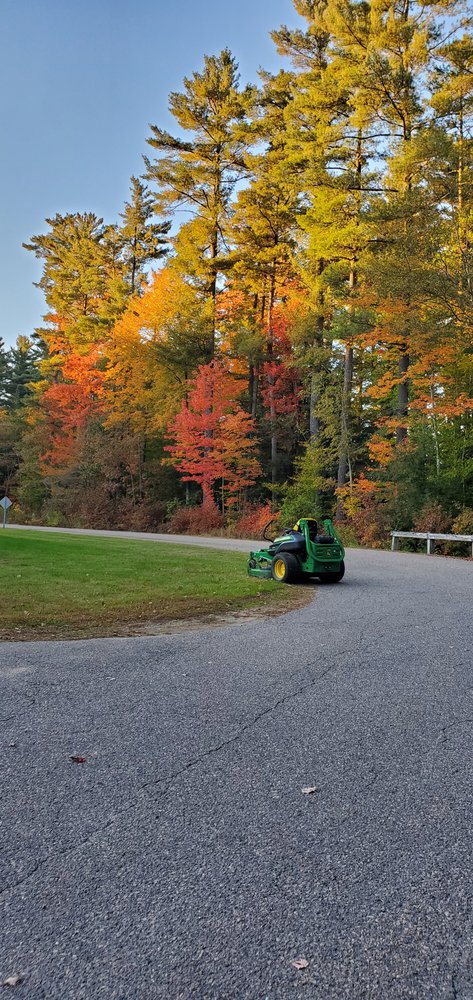Precision Property Maintenance - tree service in Colchester, VT