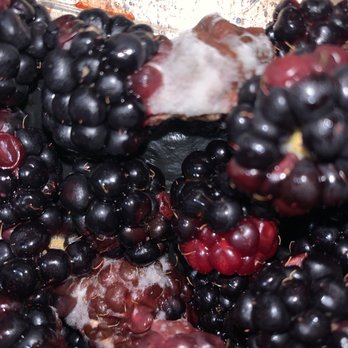 H-E-B - Blackberries - Grocery Near Me - San Antonio, Texas H-E-B - Blackberries - Grocery Near Me - San Antonio, Texas