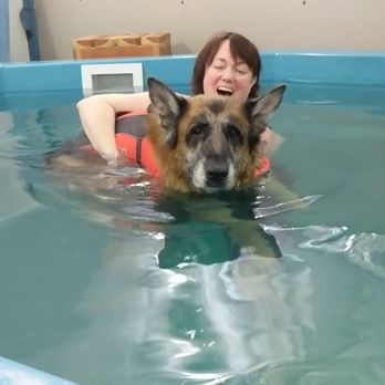 Canine Bodywork & Aquatics - Swimming for the first time! - Holistic Animal Care Near Me - Henderson, Nevada