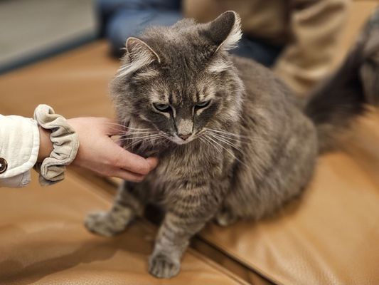 The Dean Apartments by null