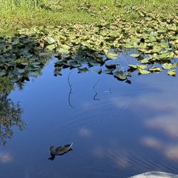 Wapato Park